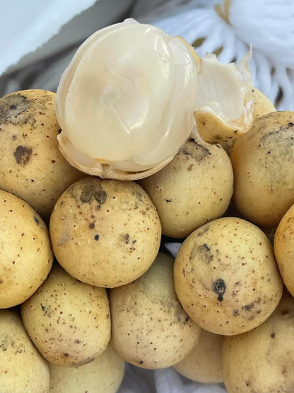 Fresh Lanzones, sweet, $35/lb