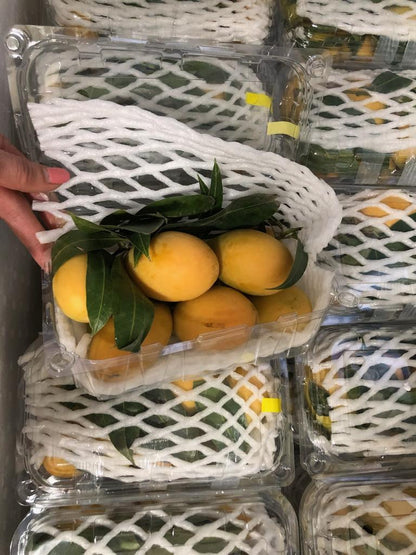 Plum Mango, 500g