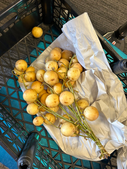 Fresh Lanzones, $30/lb