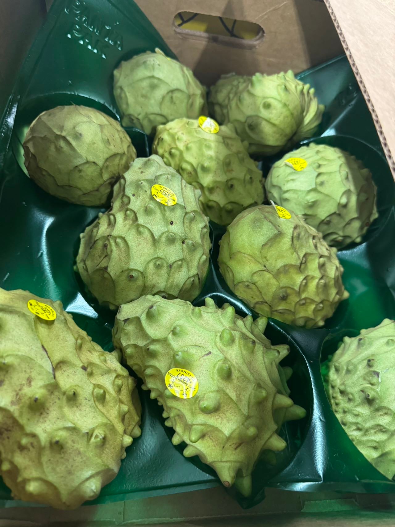 Cherimoyas, 10lbs