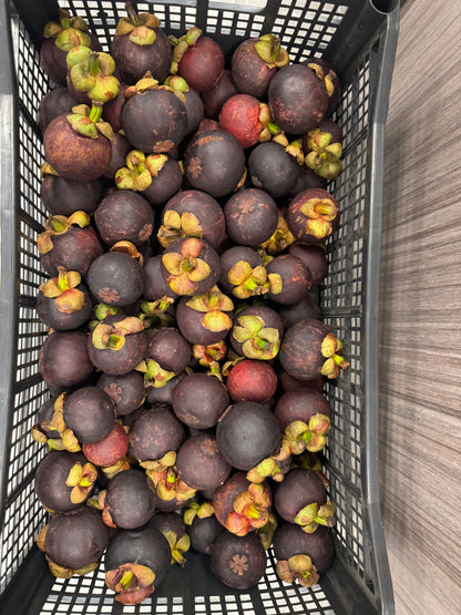 Fresh Mangosteen, Mexico, 15lbs