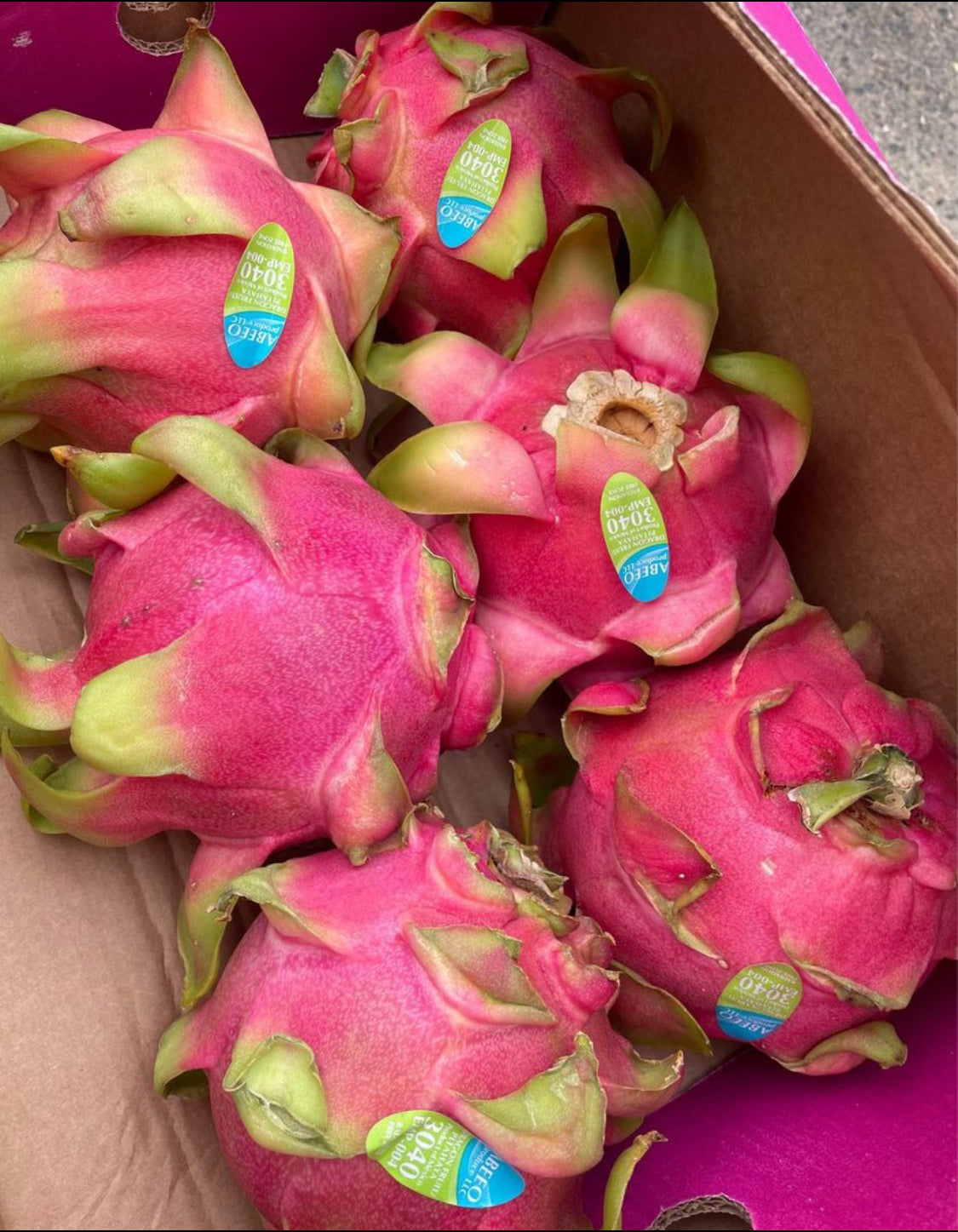 White Dragon Fruit, 10lbs