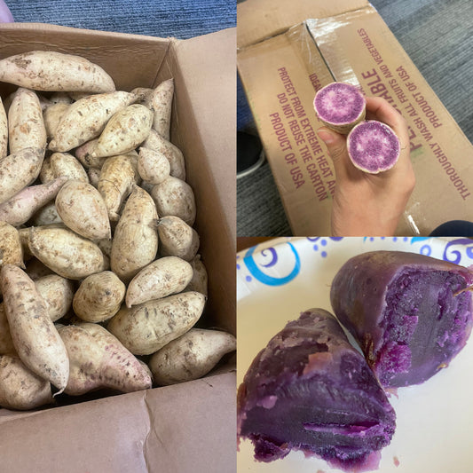 Fresh Hawaiian Purple Yam, around 30lbs