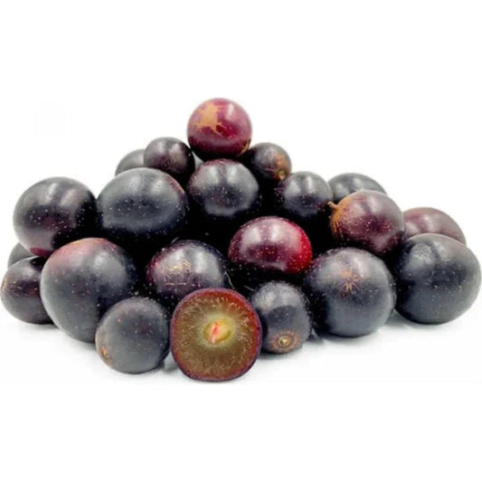 Black Muscadine Grapes