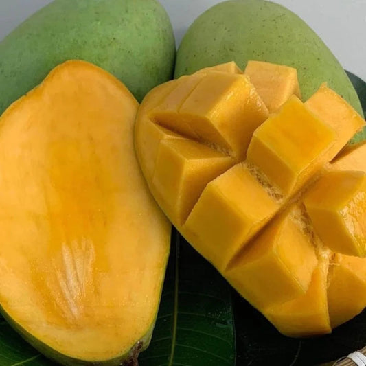 Hoa Loc Mangos, 11lbs