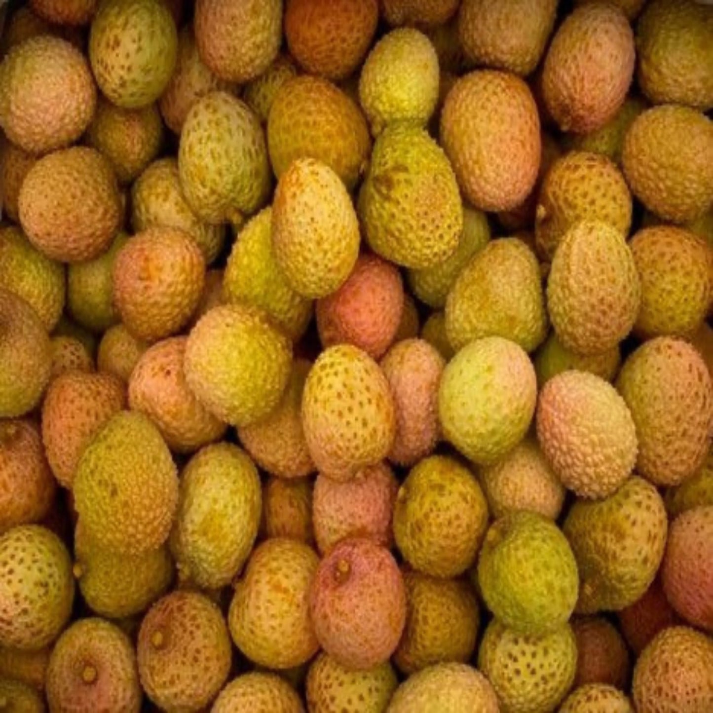 South African Lychees, 10lbs