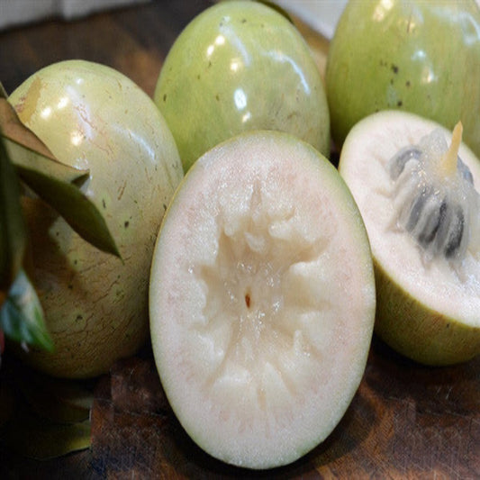 Pink Star Apples, 10lbs